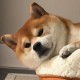 奥赛小王
